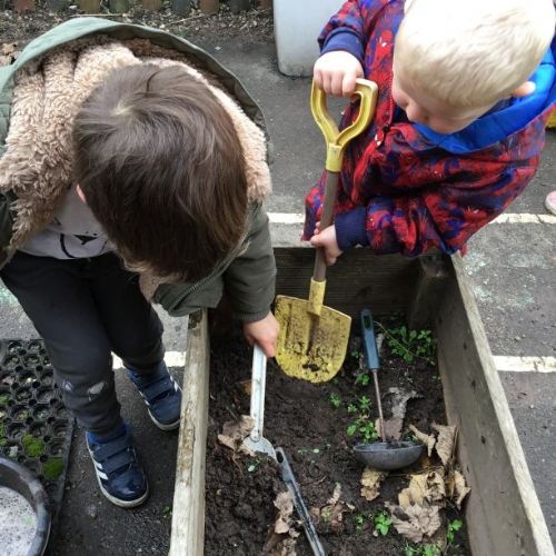 StartingNursery0011